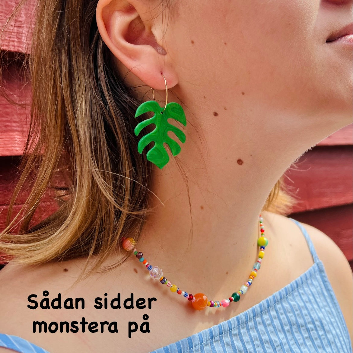 Monstera - svag glimmer