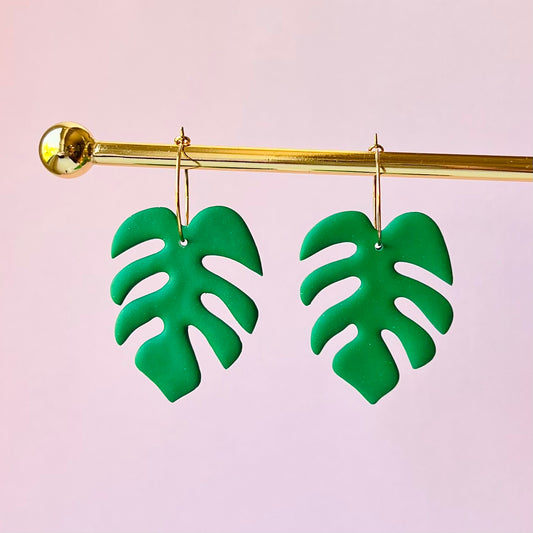 Monstera - svag glimmer