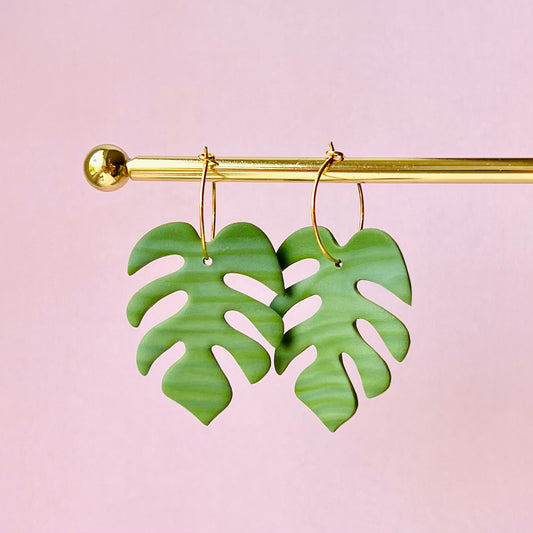 Monstera