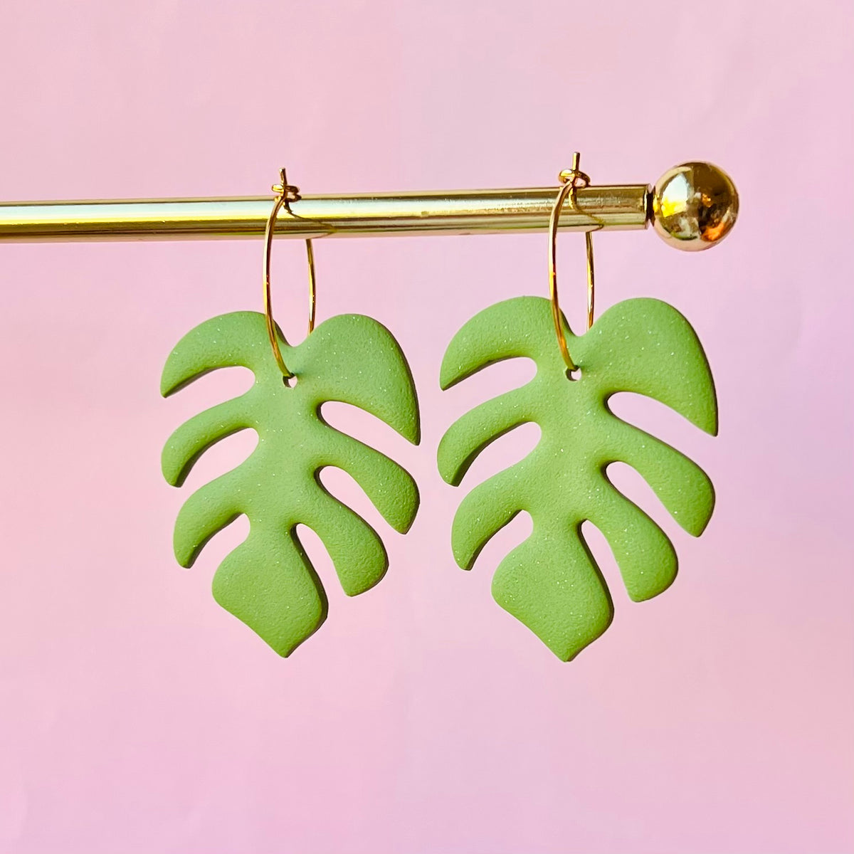 Monstera