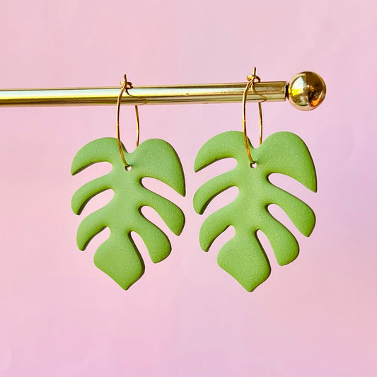 Monstera